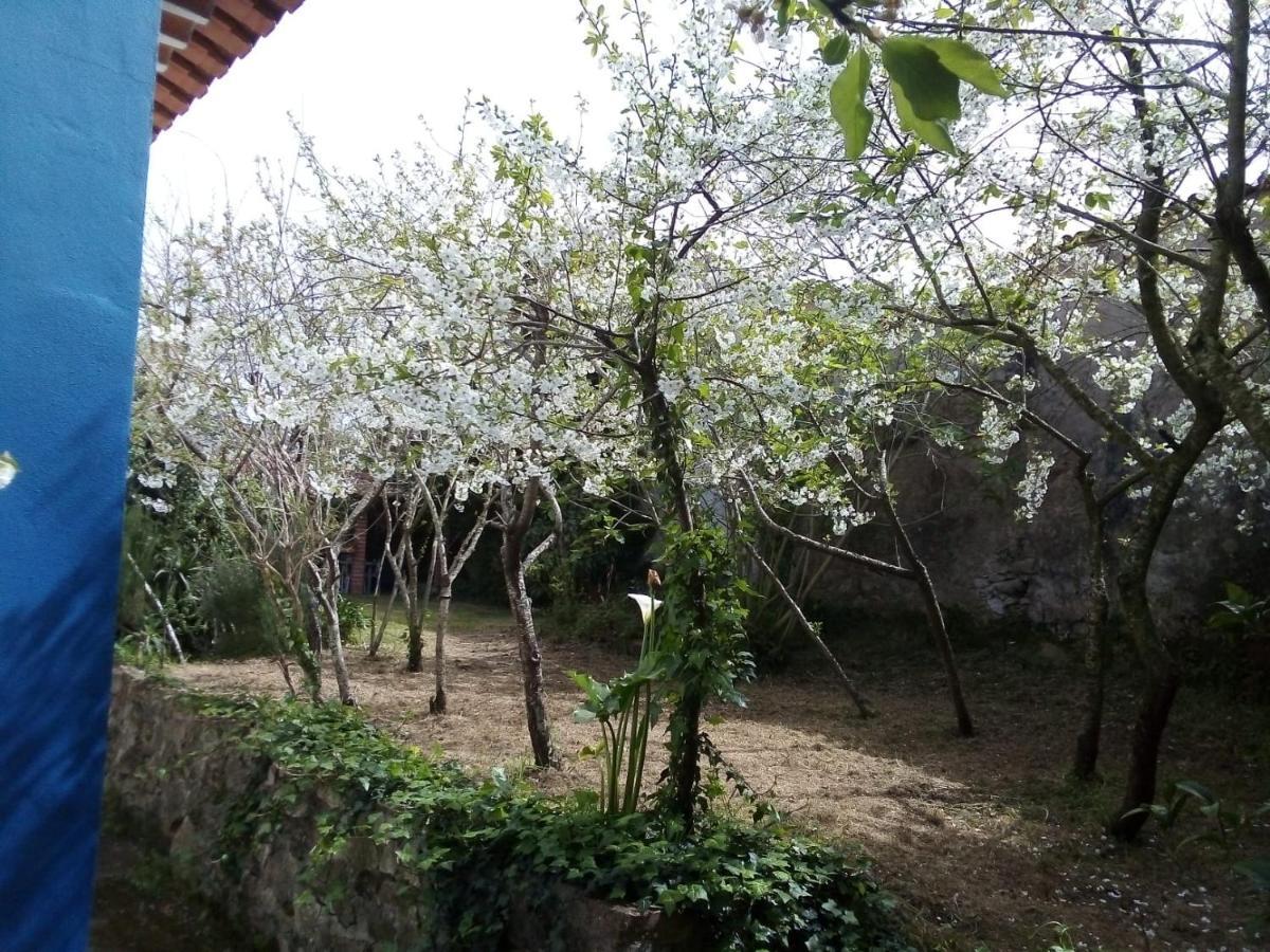 Vila Casas Altas Obidos - Al Sobral  Exteriér fotografie